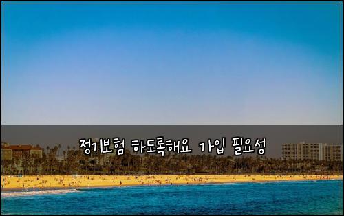 정기보험 하도록해요  가입 필요성