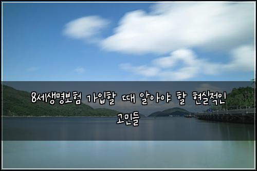 8세생명보험 가입할 때 알아야 할 현실적인 고민들