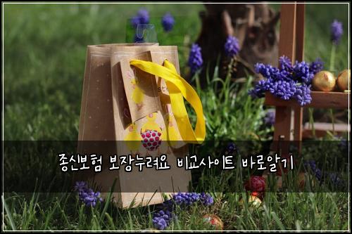 종신보험 보장누려요  비교사이트 바로알기