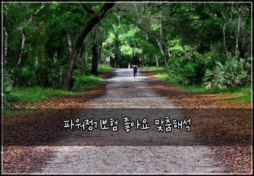파워정기보험 좋아요  맞춤해석