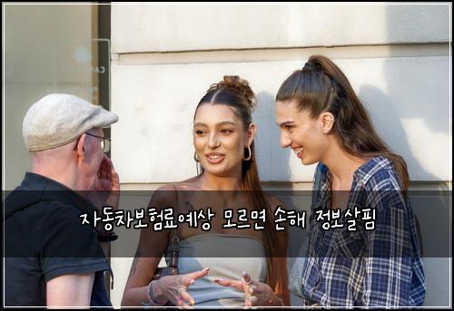 자동차보험료예상 모르면 손해 정보살핌