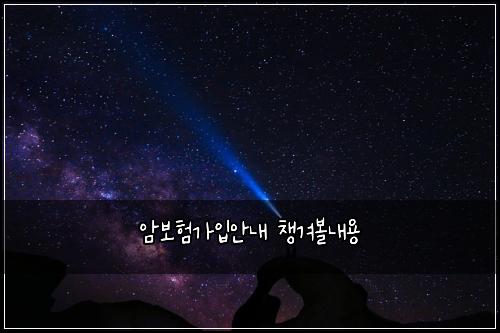 암보험가입안내 챙겨볼내용