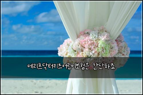 메리츠닥터키즈어린이보험은 간단하죠
