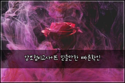 ์๋ณดํ๋น๊ต์ฌ์ดํธ ๋ฏฟ์๋งํ ๋น ๋ฅธํ์ธ