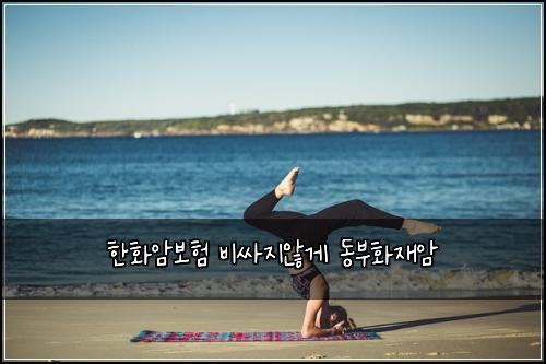 한화암보험 비싸지않게  동부화재암