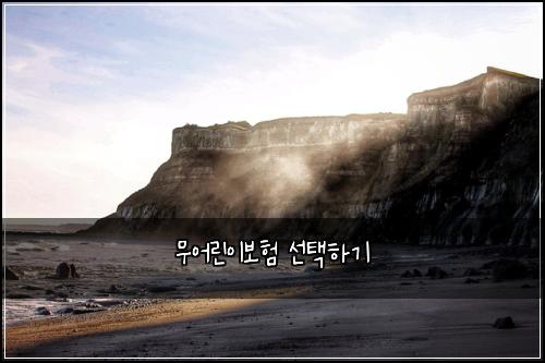 무어린이보험 선택하기 