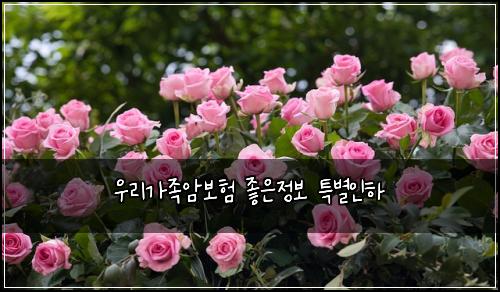 우리가족암보험 좋은정보  특별인하