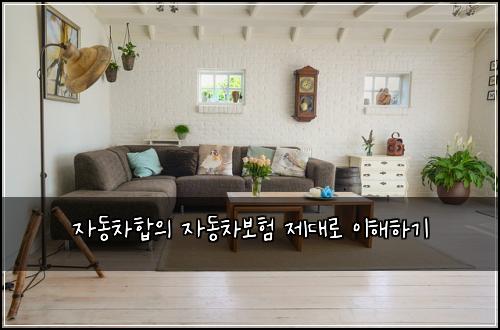 자동차합의 자동차보험 제대로 이해하기
