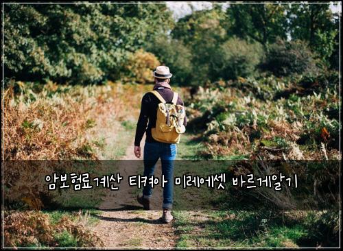 암보험료계산 티켜아 미레에셋 바르게알기