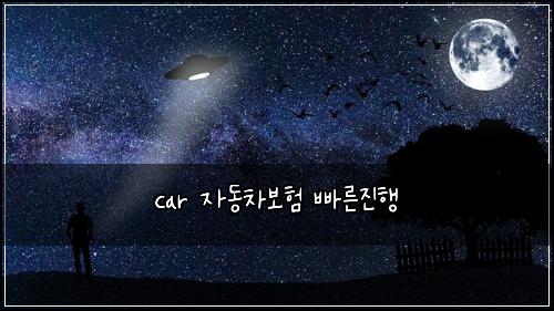 car ์๋์ฐจ๋ณดํ ๋น ๋ฅธ์งํ