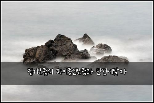 정기보험의 차이종신보험과 단번에알자