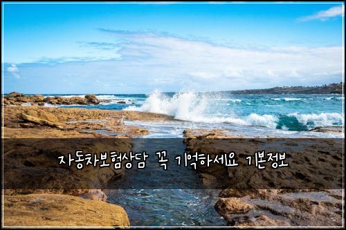자동차보험상담 꼭 기억하세요 기본정보
