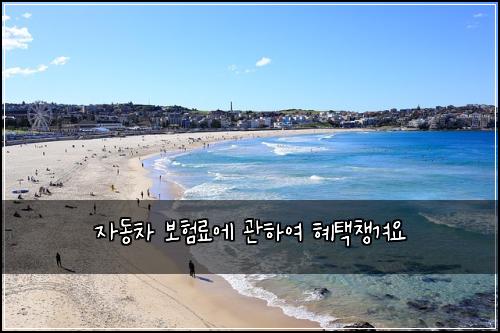 자동차 보험료에 관하여 혜택챙겨요