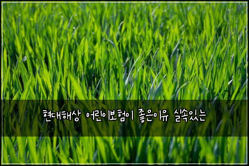 현대해상 어린이보험이 좋은이유 실속있는
