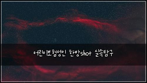 어린이보험성인 한방shot 실속탐구