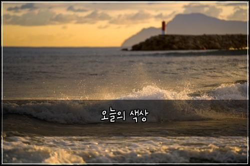 오늘의 색상