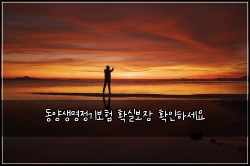 ๋์์๋ช
์ ๊ธฐ๋ณดํ ํ์ค๋ณด์ฅ ํ์ธํ์ธ์