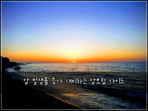 암 발생률 증가 대비하는 암보험 가이드