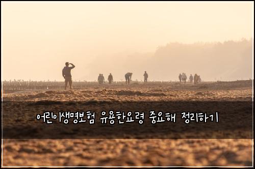 어린이생명보험 유용한요령  중요해 정리하기
