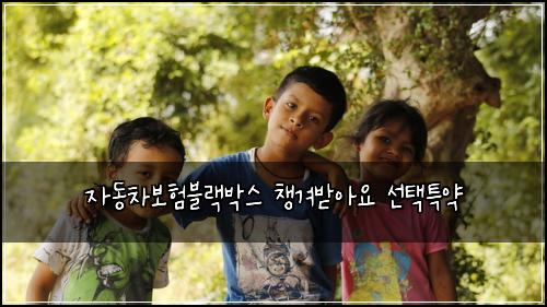 자동차보험블랙박스 챙겨받아요 선택특약