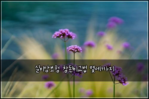 ์ค๋น์๋ณดํ ์ฐธ๋๋น๊ต๋ฒ ๋ช์ธ๊น์ง