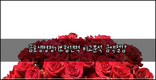 ๊ธํธ์๋ช
์ ๊ธฐ๋ณดํ๊ฒฌ์ ๋น๊ต๋ถ์ ๊ธ์ก์ ๊ฐ