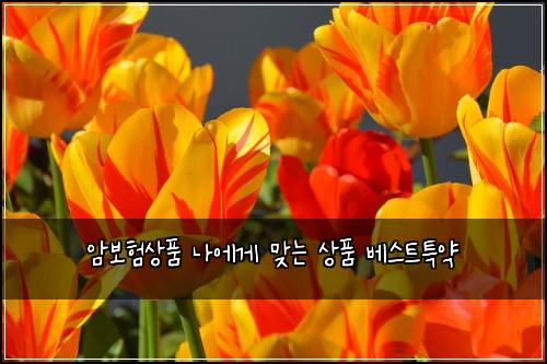 암보험상품 나에게 맞는 상품 베스트특약
