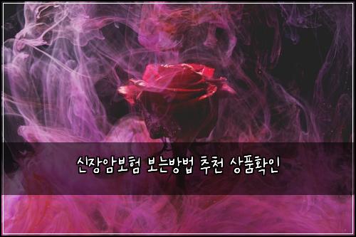 신장암보험 보는방법  추천 상품확인