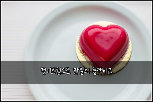 정기보험으로 만일의 플랜비교