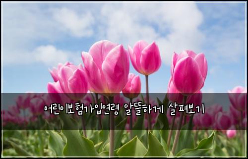 어린이보험가입연령 알뜰하게 살펴보기