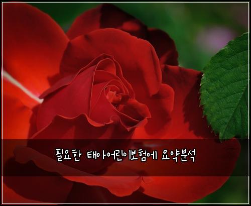 필요한 태아어린이보험에 요약분석