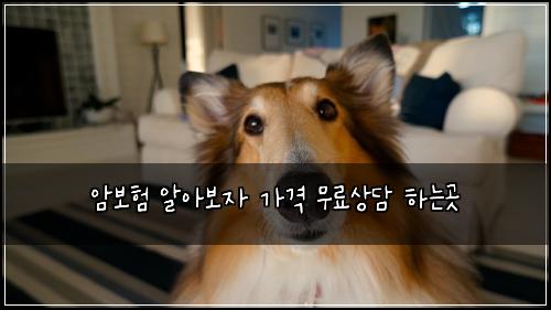암보험 알아보자  가격 무료상담 하는곳