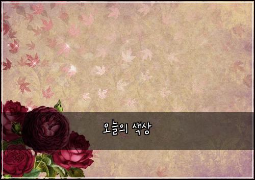 오늘의 색상