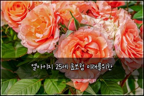 ์์์ด์ง 25์ธ ํจ๋ณดํ ๋ฏธ๋๋ฅผ์ํ