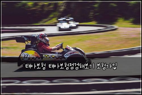 태아보험 태아보험점검해보기 보험가입
