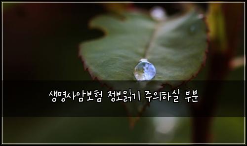 생명사암보험 정보읽기  주의하실 부분