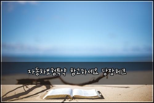 자동차보험특약 참고하세요 당장체크