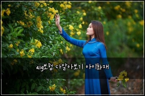 aig보험 다알아보기  아이화재