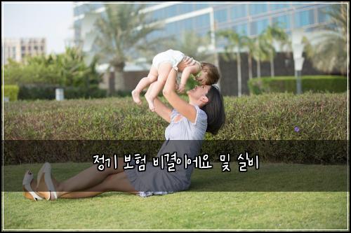 ์ ๊ธฐ ๋ณดํ ๋น๊ฒฐ์ด์์ ๋ฐ ์ค๋น