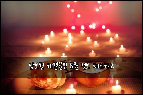 암보험 해결꿀팁  8월 정보 체크하고