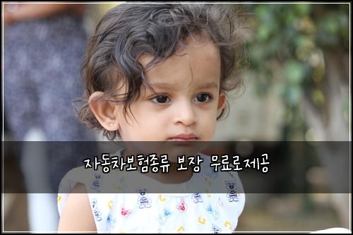 ์๋์ฐจ๋ณดํ์ข
๋ฅ ๋ณด์ฅ ๋ฌด๋ฃ๋ก์ ๊ณต