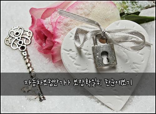 ์๋์ฐจ๋ณดํ๋ง๊ธฐ๋ ๋ณด์ฅํ์คํ ํ๋์๋ณด๊ธฐ