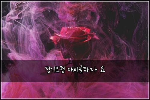 정기보험 대비를하자  요