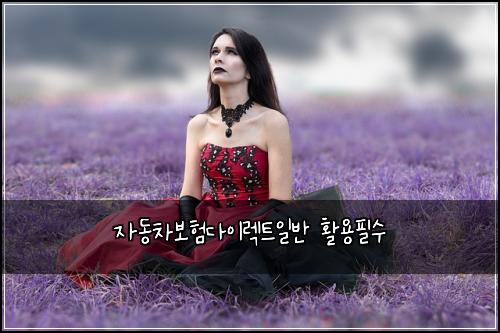 자동차보험다이렉트일반 활용필수