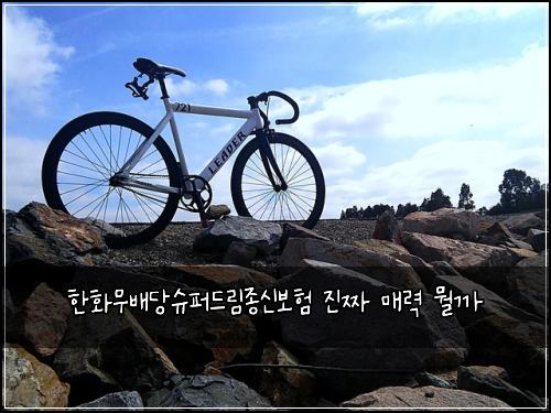 한화무배당슈퍼드림종신보험 진짜 매력 뭘까