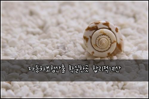 자동차보험산출 확실한곳 합리적계산