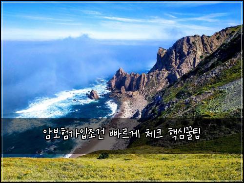 암보험가입조건 빠르게 체크 핵심꿀팁