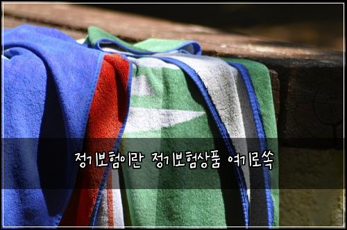 정기보험이란 정기보험상품 여기로쏙