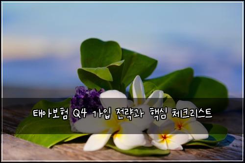 태아보험 Q4 가입 전략과 핵심 체크리스트