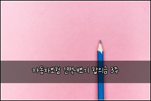 자동차보험 견적내보기  합의금 3주